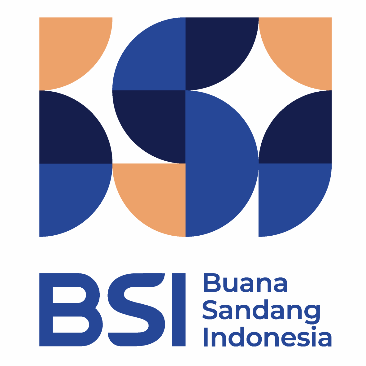 BSI Garment